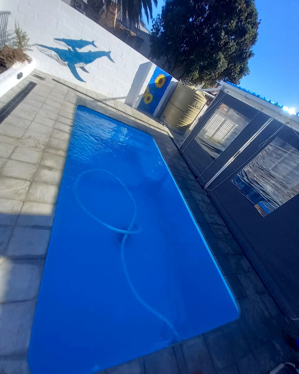 Robert's pool restored to deep clear blue on a maintenance visit